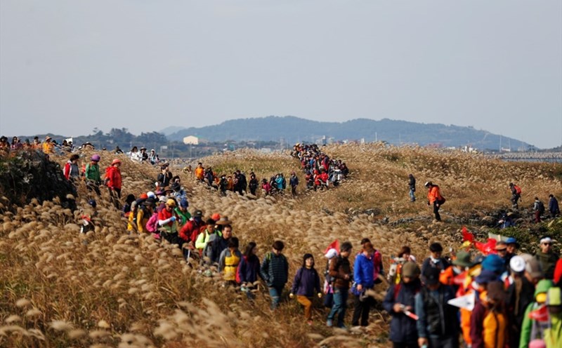 Lễ hội đi bộ Olle Jeju