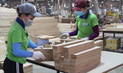 Công nhân làm việc trong ngành chế biến gỗ tại thị xã Thuận An, Bình Dương - Ảnh: Đình Trọng