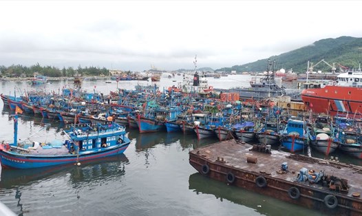 Hơn 800 tàu thuyền các tỉnh thành đang neo đậu tại âu thuyền Thọ Quang, Đà Nẵng để tránh áp thấp nhiệt đới đang có nguy cơ mạnh lên thành bão. Ảnh: TT