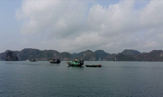 Khu vực ranh giới giữa vịnh Hạ Long của Quảng Ninh và Cát Bà (Hải Phòng)