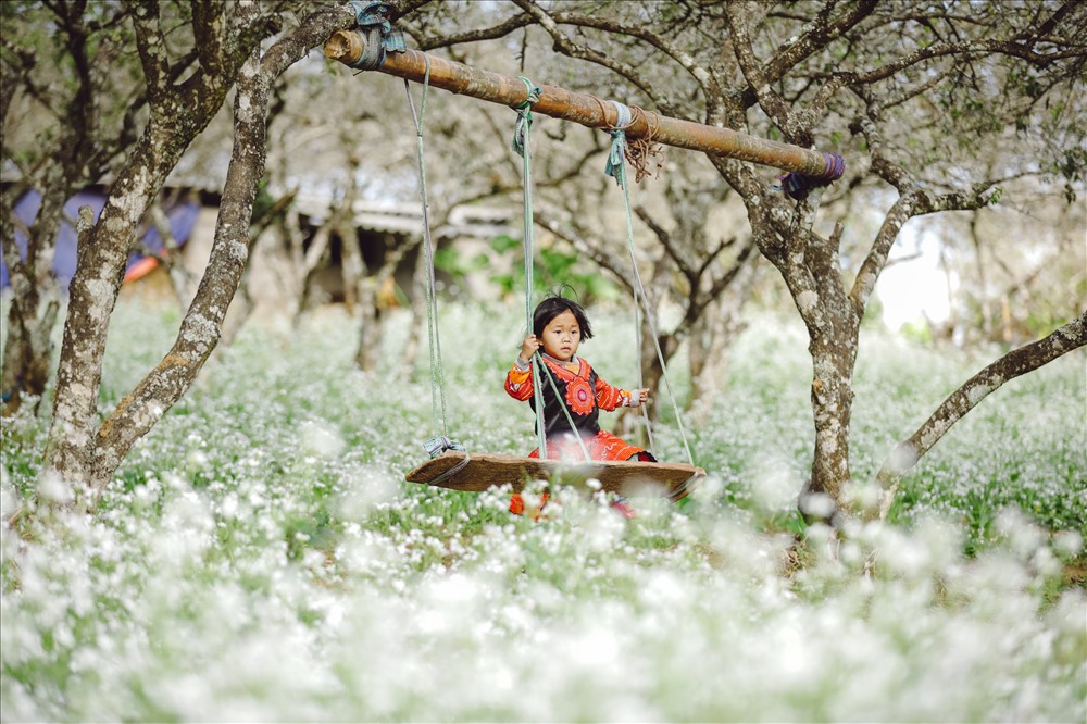 Xuân trên rẻo cao đẹp trong trẻo