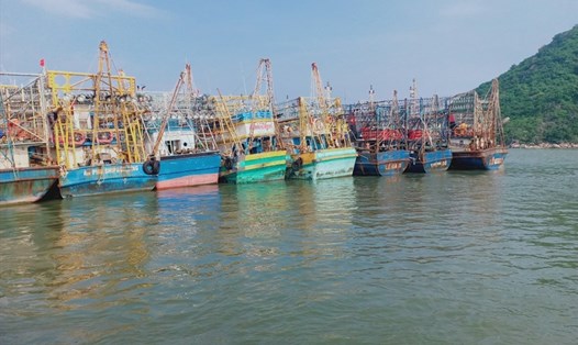 Tỉnh Bình Định có 38 tàu cá đóng mới theo Nghị định 67 hết hạn bảo hiểm phải nằm bờ. Ảnh: N.T