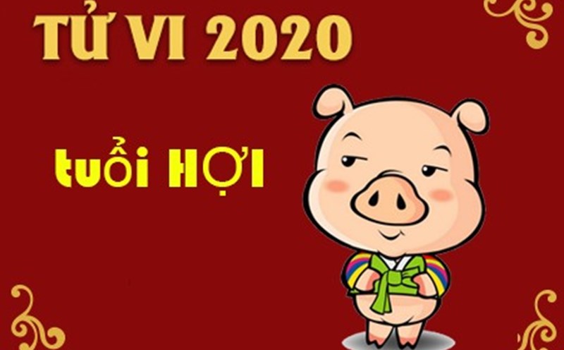 VẬN MỆNH NGƯỜI TUỔI KỶ HỢI VÀO NĂM 2020