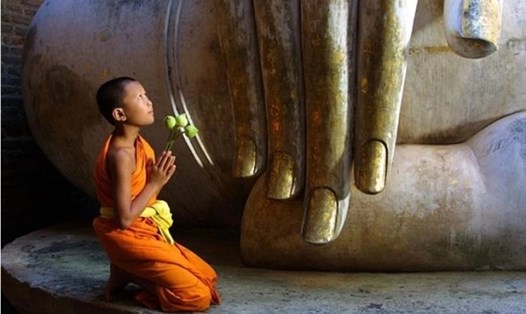 Dâng hương lễ Phật để tỏ lòng thành kính. Ảnh: Theo phatgiao.org.vn