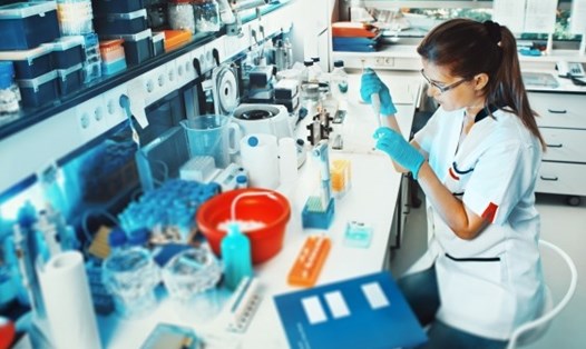 Các nhà khoa học Australia đã phát triển thành công mẫu virus Corona từ phòng thí nghiệm. Ảnh: Shutterstock
