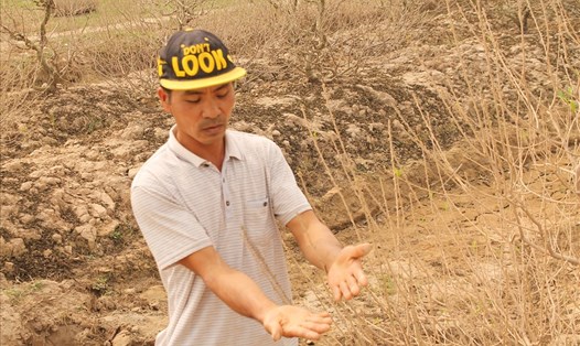 Người dân trồng đào xã Đại Đồng phản đối phương án "ủng hộ" 20 triệu/10 hộ của đơn vị thi công đường 401. Ảnh Mai Dung