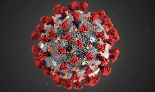 Hình minh họa từ Trung tâm kiểm soát và phòng ngừa dịch bệnh Mỹ (CDC) về hình dạng cơ bản của virus Corona đang gây ra sự bùng phát dịch bệnh đầu tiên ở Vũ Hán, Trung Quốc. Ảnh: CDC.