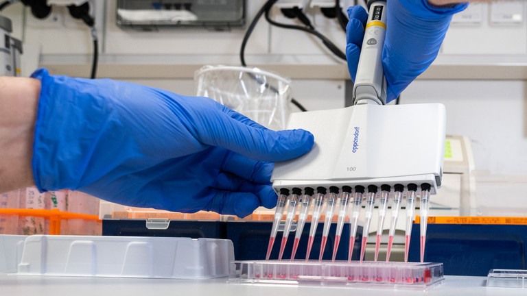 Nga xác định bộ 3 loại thuốc có sẵn có thể dùng để điều trị bệnh nhân nhiễm virus Corona. Ảnh: Global Look Press