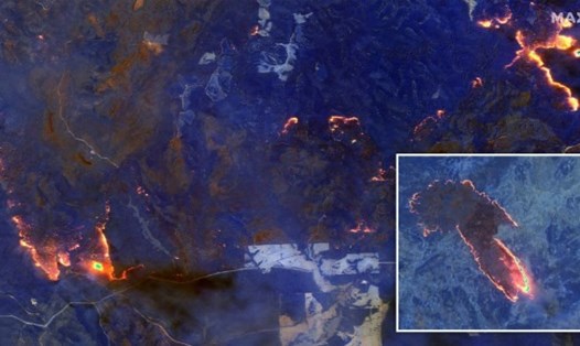 Những đám cháy rừng Australia nhìn từ không gian. Ảnh: Mirror.