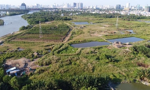 Hai nguyên lãnh đạo công ty Tân Thuận bị bắt liên quan đến việc bán 32ha đất ở xã Phước Kiến, huyện Nhà Bè, TPHCM.