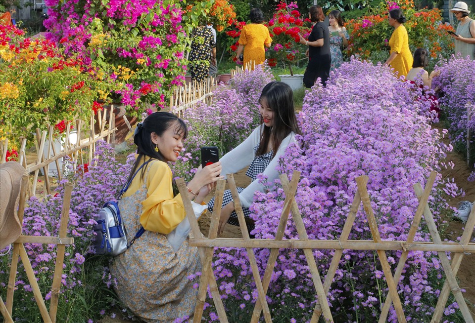 Được bắt đầu trồng từ tháng 6.2020 đến nay, diện tích khu vườn rộng khoảng 350 mét vuông.