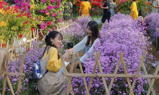 Được bắt đầu trồng từ tháng 6.2020 đến nay, diện tích khu vườn rộng khoảng 350 mét vuông.