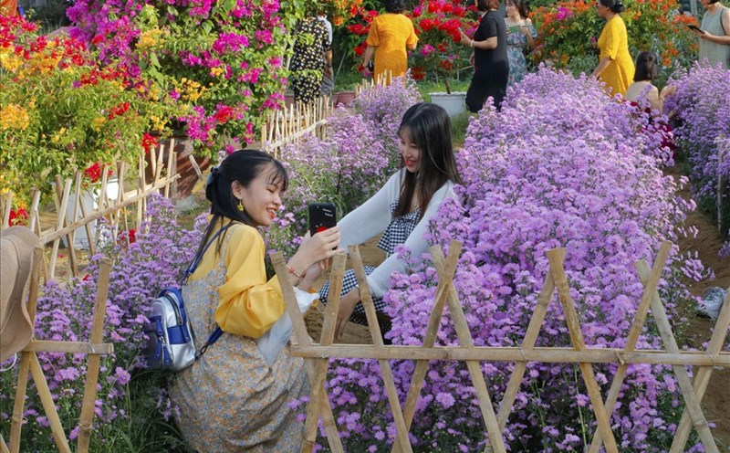 Được bắt đầu trồng từ tháng 6.2020 đến nay, diện tích khu vườn rộng khoảng 350 mét vuông.