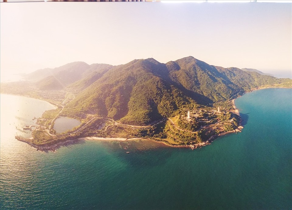 Sơn Trà sẽ có thành lập vườn cây thuốc quý với khoảng 10 ha. Ảnh: Thùy Trang