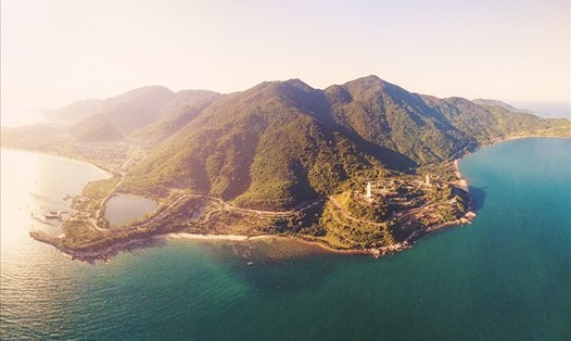 Sơn Trà sẽ có thành lập vườn cây thuốc quý với khoảng 10 ha. Ảnh: Thùy Trang