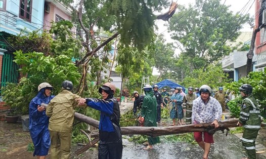 Cây đổ hàng loạt do mưa bão, Đà Nẵng tiếp tục cho học sinh nghỉ học. Ảnh: Thọ Quang