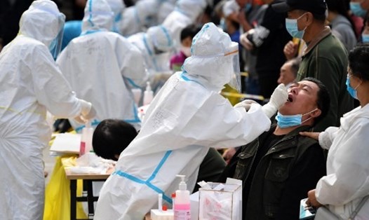 Nhân viên y tế tiến hành kiểm dịch COVID-19 cho người dân ở Thanh Đảo, tỉnh Sơn Đông, Trung Quốc. Ảnh: AFP
