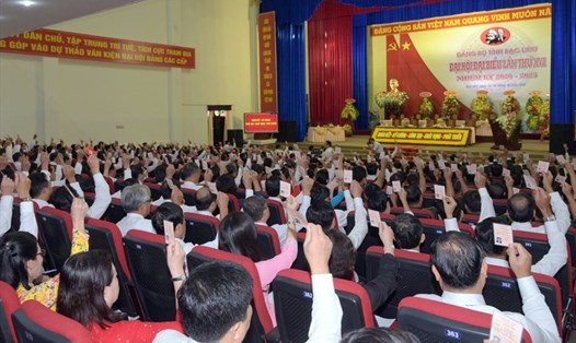 Các đại biểu thông qua chương trình làm việc của đại hội (ảnh Minh Đạt)