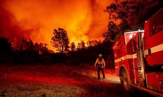 Nhân viên cứu hỏa hạt Butte chứng kiến đám cháy rừng lớn bùng lên dữ dội tại Oroville, California, hồi tháng 9. Ảnh: AFP