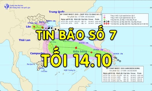 Tin bão mới nhất: Bão số 7 giật cấp 9 đổ bộ vào Thái Bình đến Thanh Hóa.