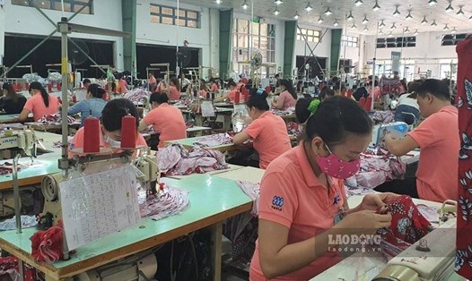 Chỉ trong tháng 9.2020, TTDVVL Hà Nội tổ chức 21 phiên GDVL, giúp hàng nghìn lao động có việc làm. Ảnh: Lan Hoa