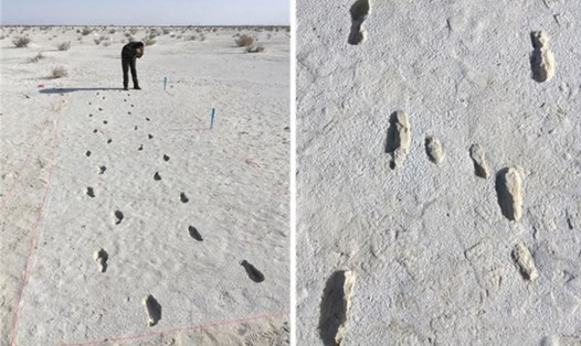 Những dấu chân 13.000 năm tuổi được phát hiện trong Công viên Quốc gia White Sands, Mỹ. Ảnh: NY Post
