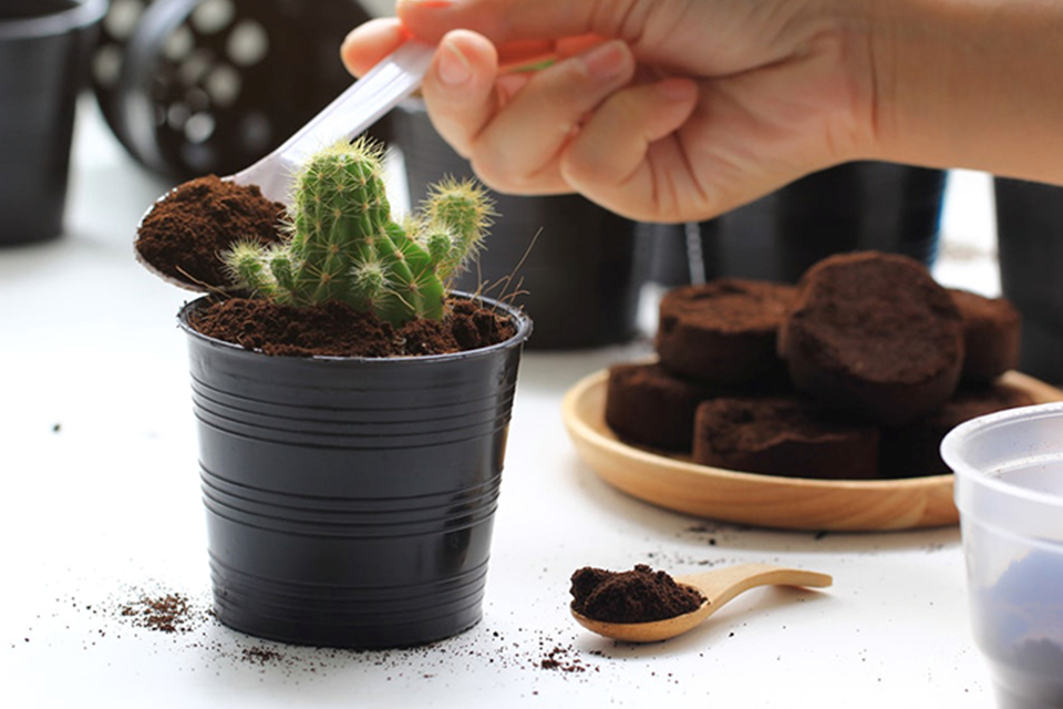 Những công dụng tuyệt vời của bã cà phê Những công dụng tuyệt vời của bã cà phê
