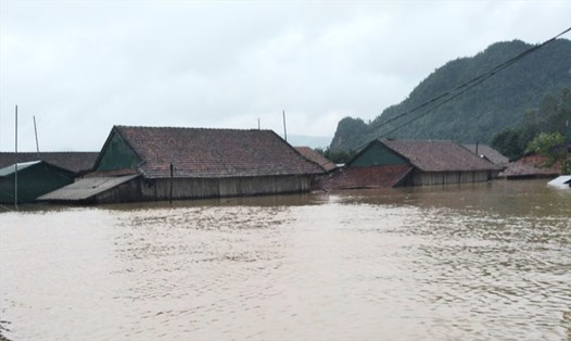 Nước lũ vừa rút nhưng mưa lớn 2 ngày qua khiến hàng ngàn nhà dân tại Quảng Bình lại ngập nước trở lại. Ảnh: LPL