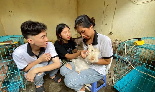 Trạm cứu hộ động vật Nông nghiệp Hà Nội. Ảnh: Lan Nhi