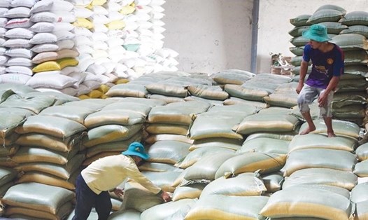 Thủ tướng quyết định xuất cấp 4.000 tấn gạo hỗ trợ cứu đói cho nhân dân 4 tỉnh miền Trung. Ảnh minh hoạ: Đức Thành