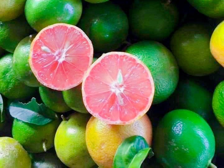 Thực phẩm giúp tăng đề kháng mùa mưa bão. Ảnh: Hạ Mây