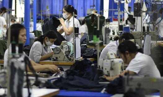 Công nhân làm việc trong một nhà máy may ở Hà Nội.  Ảnh: AFP