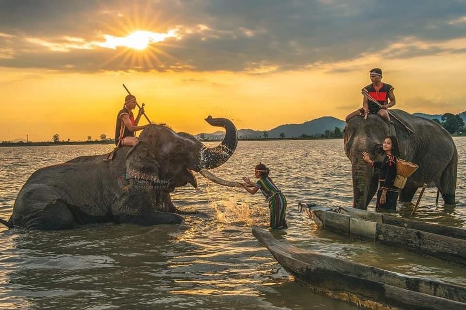 Người dân Đắk Lắk quây quần bên những con voi nhà. Ảnh Ngô Minh Phương