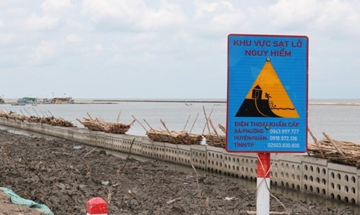 Trên 5,8 km đê biển Tây Cà Mau có nguy cơ sạt lở nghiêm trọng. Ảnh Nhật Hồ