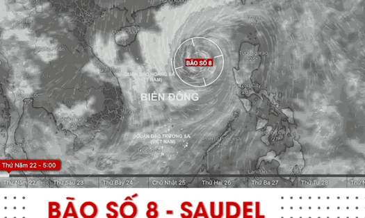 Tin bão mới nhất: Chi tiết quỹ đạo di chuyển và đổ bộ của bão số 8 Saudel