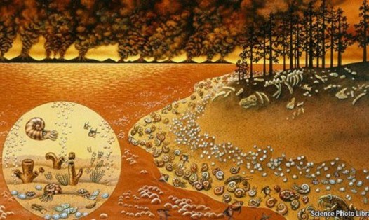Thảm hoạ huỷ diệt gần như toàn bộ sự sống trên trái đất xảy ra ở giai đoạn Kỷ Permi-Trias. Ảnh: Science Photo Library