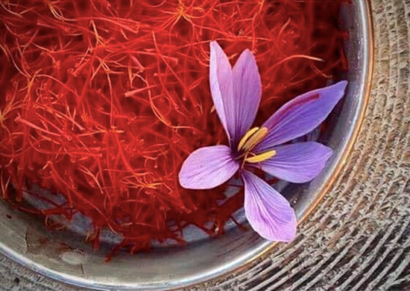 Có những thông tin nào khác về saffron trong việc điều trị mất ngủ mà bạn đáng chú ý?
