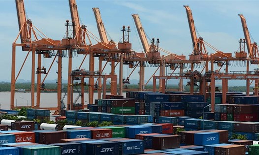 Lô hàng Việt Nam trợ giúp cho Nga được gửi từ cảng Hải Phòng đi Vladivostock. Ảnh: AFP