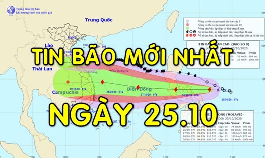 Tin bão mới nhất: Bão số 8 cách Hà Tĩnh đến Quảng Trị 200km, giật cấp 11.
