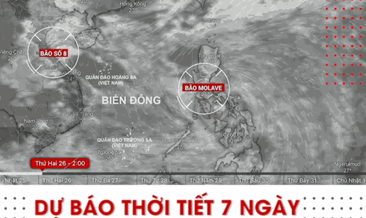 Dự báo thời tiết 7 ngày tới: Bão Molave vào Biển Đông, giật cấp 15