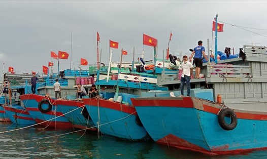 Vẫn cón 190 tàu cá còn ở vùng nguy hiển trên biển trước bão số 9. Ảnh của V.M về tình hình neo đậu tàu cá ở đảo Lý Sơn, Quảng Ngãi.