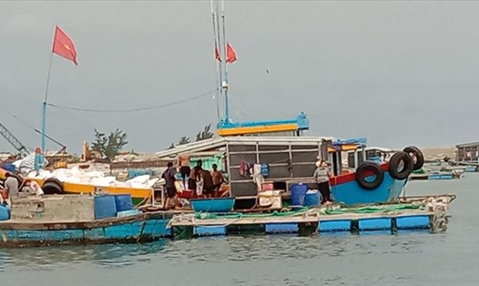 Các địa phương ở miền Trung kiên quyết không để ngư dân ở lại trên các lồng bè nuôi trồng thủy, hải sản trước bão số 9. Ảnh: VM