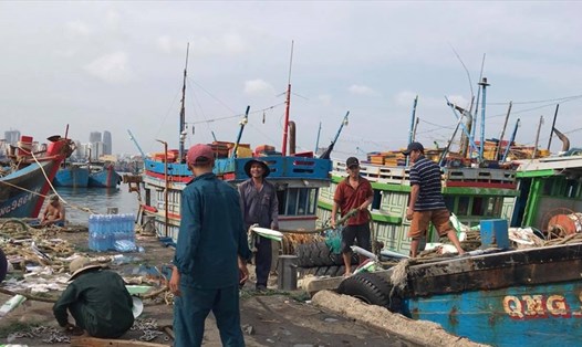 Ngư dân Đà Nẵng nhanh chóng công tác tránh bão số 9. Ảnh: Mai Hương