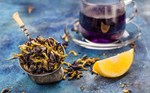 Cách làm trà hoa đậu biếc đẹp mắt và nhiều lợi ích cho sức khoẻ