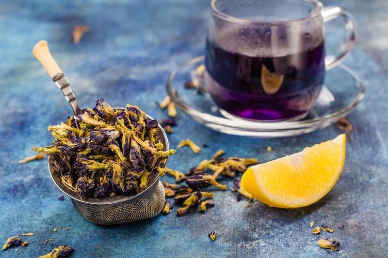 Cách làm trà hoa đậu biếc đẹp mắt và nhiều lợi ích cho sức khoẻ