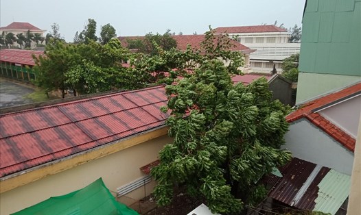 Hình ảnh ảnh hưởng bão số 9 tại Phú Yên. Ảnh: Nhiệt Băng