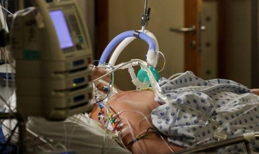 Bệnh nhân COVID-19 nặng đang được điều trị ICU tại một bệnh viện ở Bỉ, ngày 27.10. Ảnh: Reuters