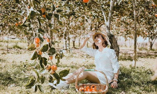 Đến Đà Lạt mùa này không thể bỏ qua vườn hồng.