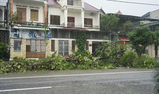 Gió lớn làm đổ cây xanh đô thị trên địa bàn thị xã Hồng Lĩnh (Hà Tĩnh) vào sáng 29.10. Ảnh: QĐ