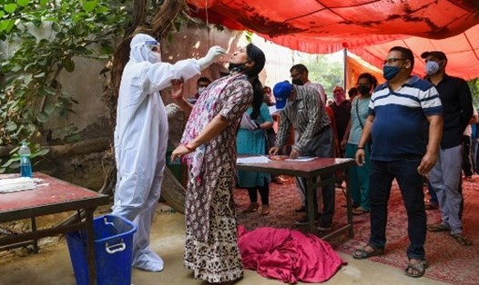 Nhân viên y tế Ấn Độ lấy mẫu xét nghiệm COVID-19 cho người dân hôm 29.10. Ảnh: AFP